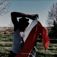 Ray Matix GIF