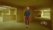 Pink Panther GIF by Respective