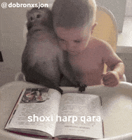 Maymun GIF