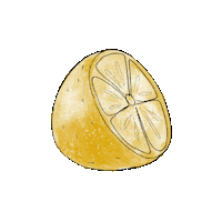 Drinks Fruit Sticker by laptitenoisette