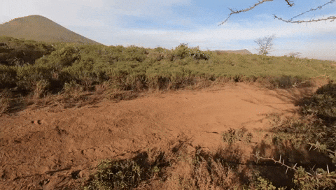 Speeding Fast Car GIF by FIA World Rally Championship