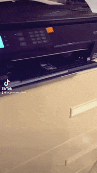 Btportraitscraft GIF