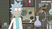 Season 2 Morty Smith GIF by Rick and Morty