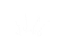 Arrow Way Sticker