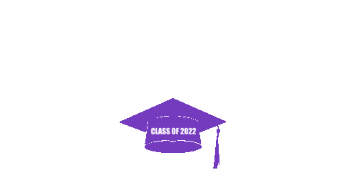 Gold Graduation Sticker by Tennessee Tech University