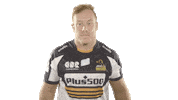 Harry Lloyd Sticker by BrumbiesRugby