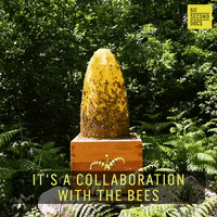 Art Artist GIF by 60 Second Docs
