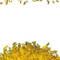 Fall Autumn Sticker by University of Michigan