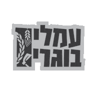 Noal4U Sticker by Hanoar Haoved Vehalomed