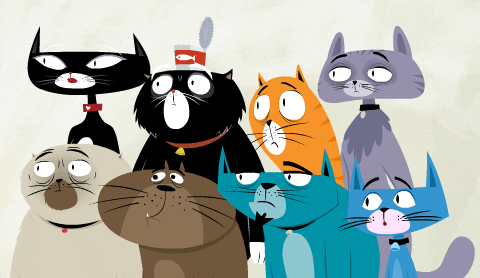 Shocked Oh No GIF by Kitty Is Not A Cat