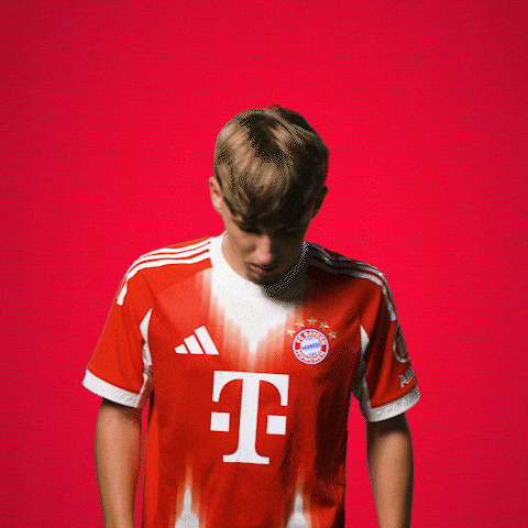 Karl Armeverschränken GIF by FC Bayern Munich