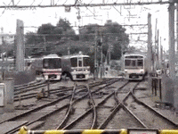 disaster brink GIF
