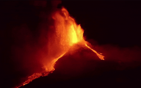 HawaiianHook giphyupload GIF