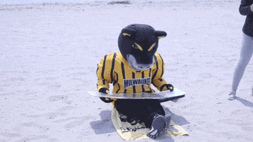 beach pounce GIF by UW-Milwaukee