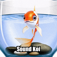 Koi Fish Sound GIF by TheConfishius