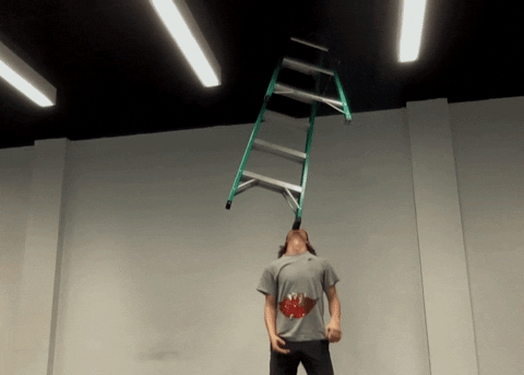 Fallontonight GIF by The Tonight Show Starring Jimmy Fallon