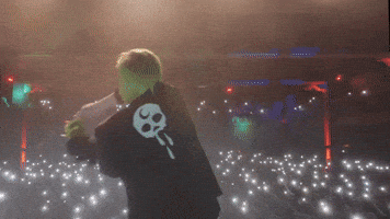Crowd Waving GIF by Better Noise Music