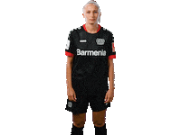 Bayer 04 Logo Sticker by Bayer 04 Leverkusen