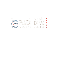 Padi Sticker by Buceo Madrid