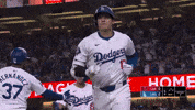 Celebrate Major League Baseball GIF by MLB