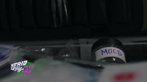 High School Sample GIF by Blue Ice Pictures