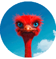 Red Apple Sticker by elbe-obst