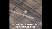 Highbeatsrecords_  GIF