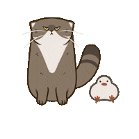 mcjuvandes cat angry mad hungry Sticker
