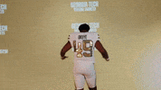 Georgia Tech Football Sport GIF by Georgia Tech Yellow Jackets
