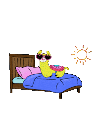 alpacainfluencer goodmorning wakeup alpaca lama Sticker