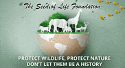 Food Save GIF by The Seed of Life Foundation