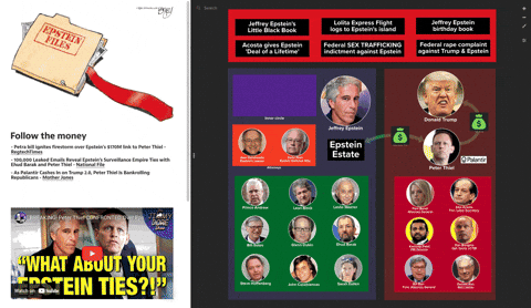 DemLabs giphyupload jeffrey epstein palantir peter thiel GIF