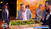 touche pas a mon poste spring GIF by C8