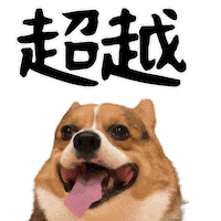Corgi Wow Sticker