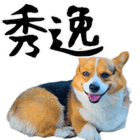 Corgi Wow Sticker