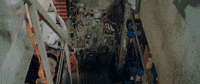 H-D Sport GIF by Harley-Davidson