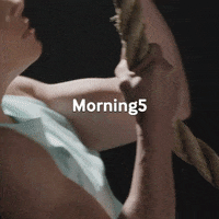 GIF by Primitive