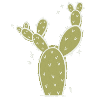 Cactus Cacti Sticker
