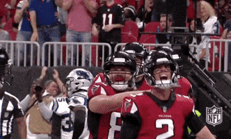 atlanta falcons football GIF by NFL