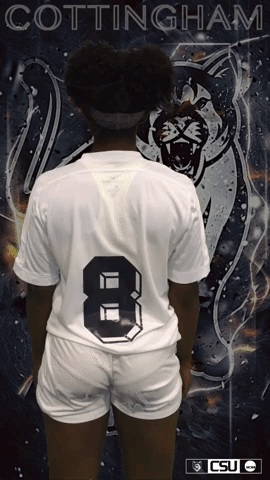 csucougars giphyupload GIF