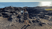 GIF by Shelly Saves the Day