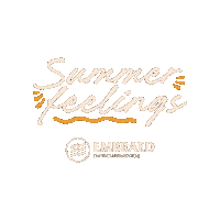 Summer Summerfeelings Sticker by Embraed Empreendimentos