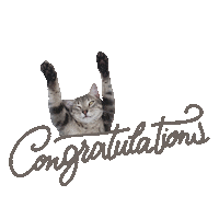 Congratulations Meru Sticker