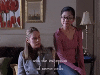 season 4 netflix GIF by Gilmore Girls 