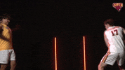 Cuc GIF by CUCougars