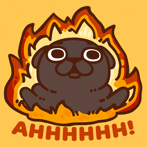 Fire Burn GIF by Puglie Pug