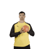 mhbofficiel sport handball ehf montpellier Sticker
