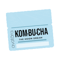 AvataraSkin kombucha avatara avatarakombucha avataraskin Sticker