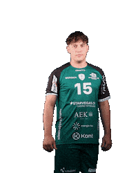 Handball Sticker by Wacker Thun