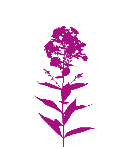 Flower Oerrr Sticker by Natuurmonumenten